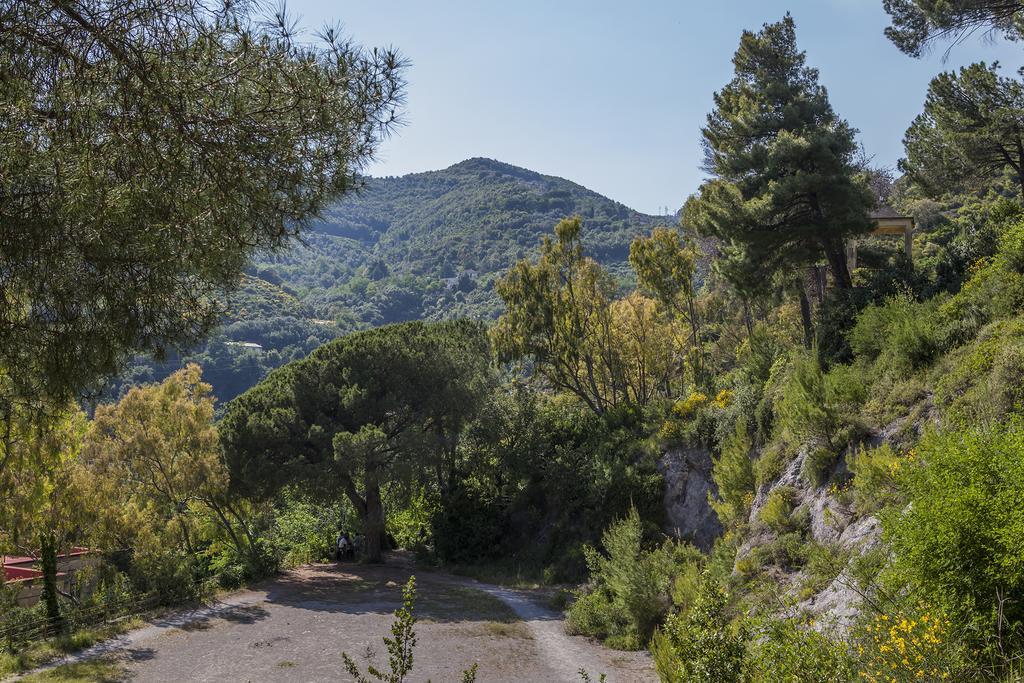 B&B La Contessa Salerno Bagian luar foto