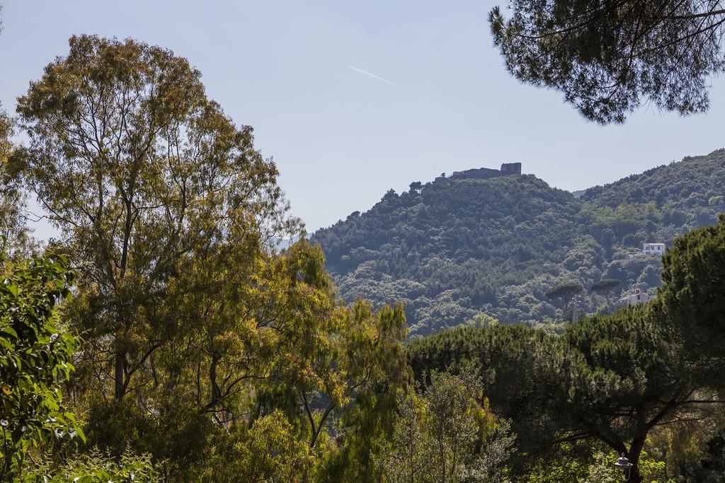 B&B La Contessa Salerno Bagian luar foto